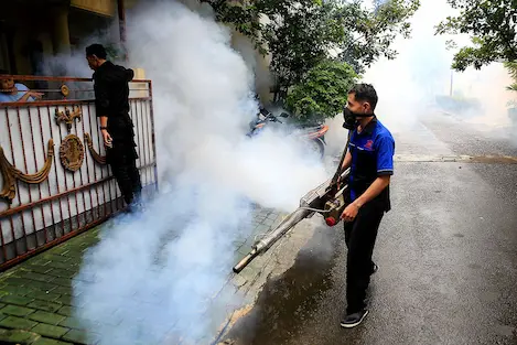 dengue en indonesia