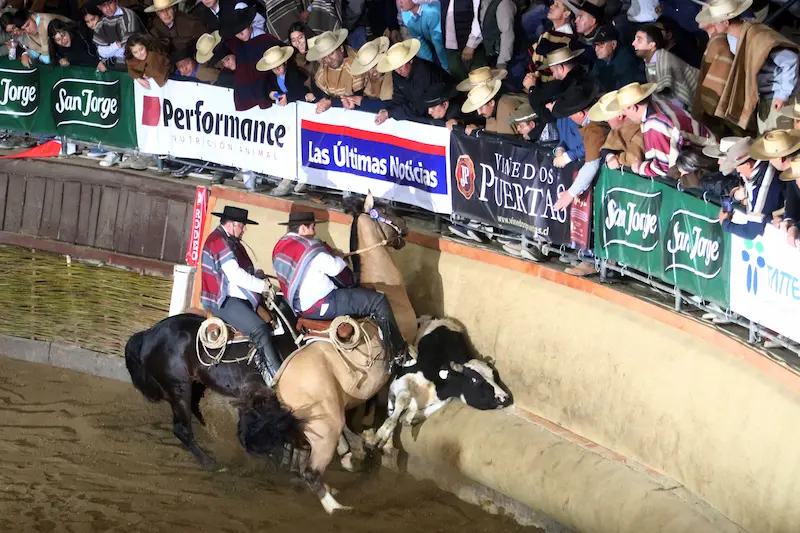 fiestas patrias en Chile
