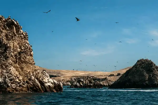 Paracas y las Islas Ballestas son uno de los destinos en Perú más famosos