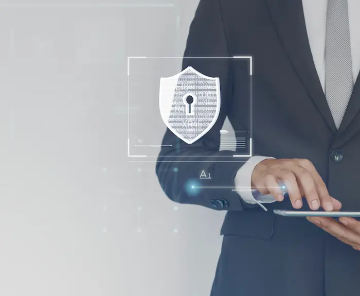 seguridad de la información 