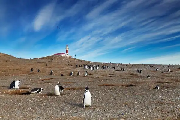 Turismo en Punta Arenas Guía completa