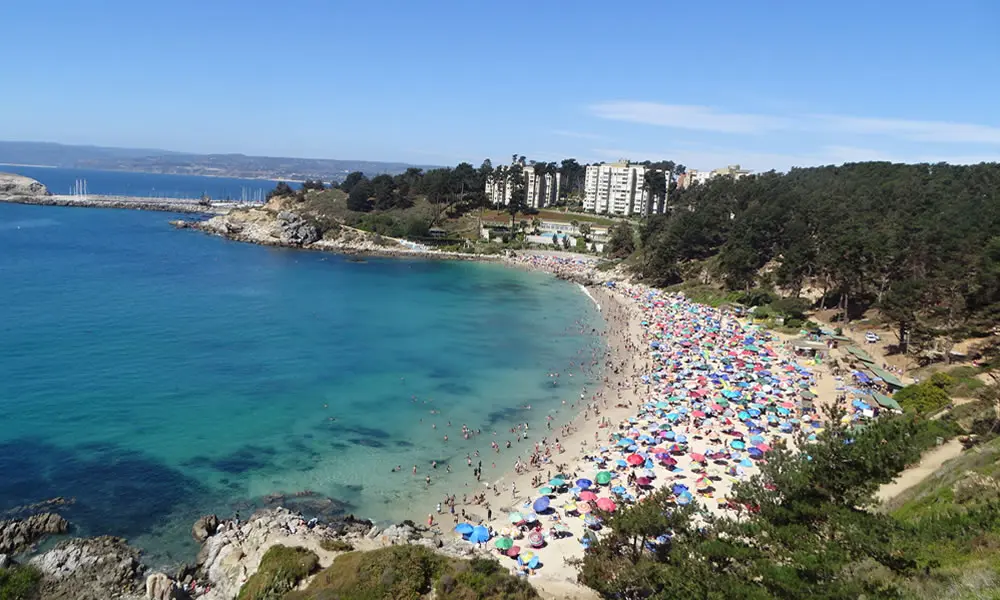 Playa Algarrobo