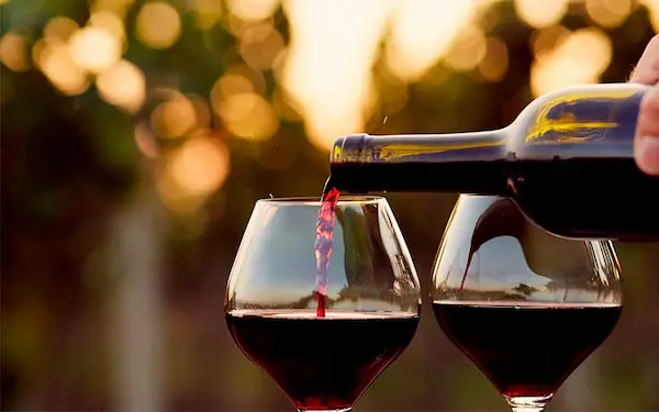 Vino chileno en el mundo: tradición, innovación y reconocimiento global