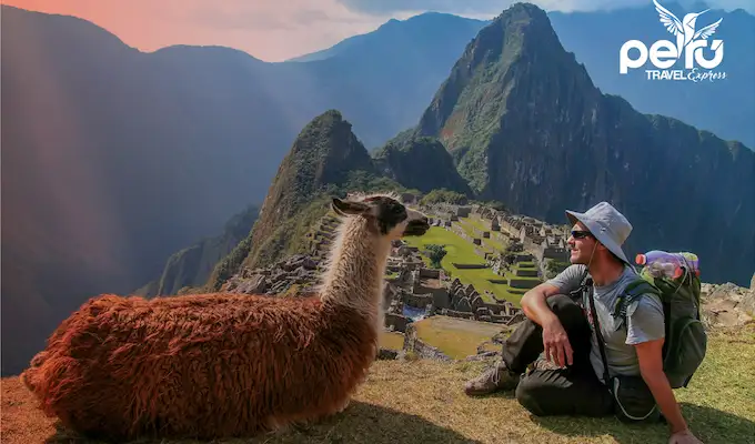 Hombre mirando una llama en Machu Picchu.