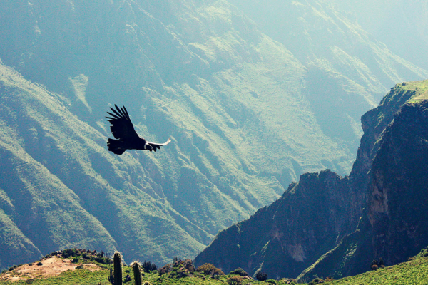 destinos de los mejores operadores turísticos en peru