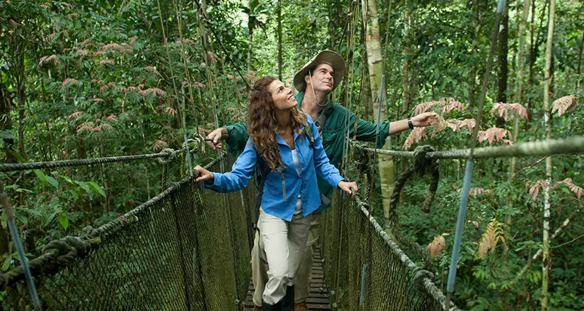 Canopy Walkway o Puentes Colgantes