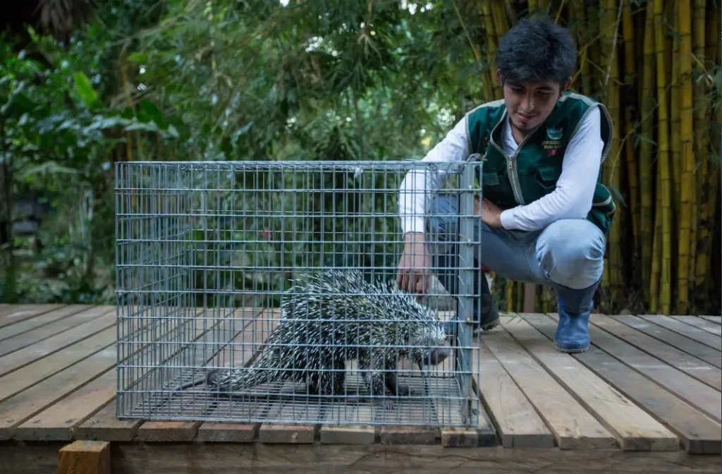 Centros de Rescate de Fauna