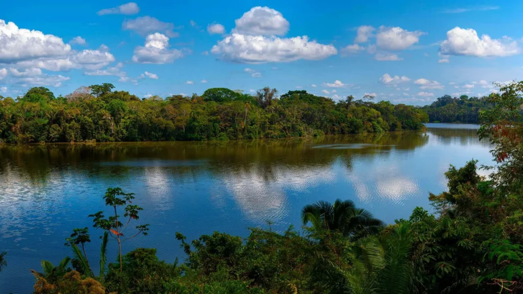Reserva Nacional Tambopata