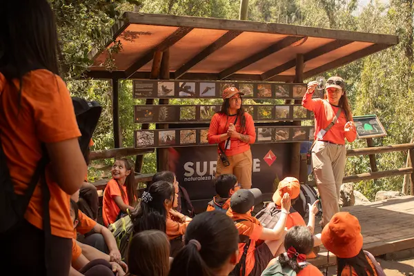 talleres educativos de sureste 