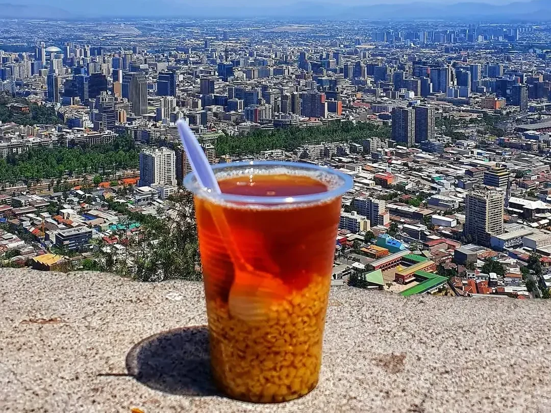 Parque O’Higgins”