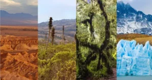 7 zonas térmicas de Chile