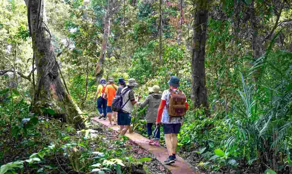 experiencias en naturaleza y selva