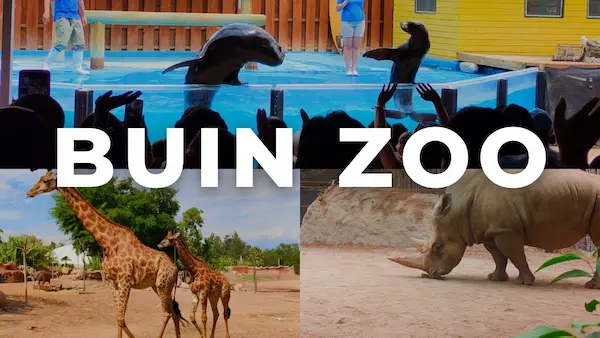 evolución del zoológico buin zoo en chile