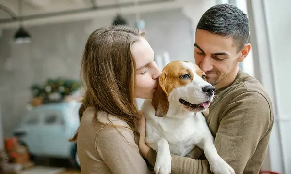 relación entre personas y animales de compañía