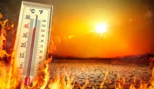 Calor en Chile extremo: temperaturas récord preocupan al país