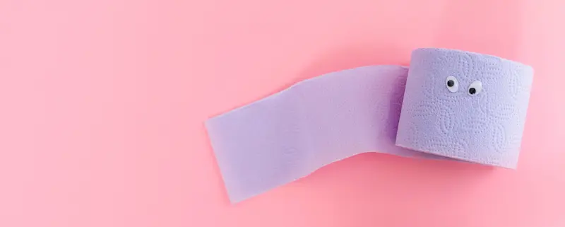 Preguntas frecuentes sobre qué va a sustituir al papel higiénico en Chile