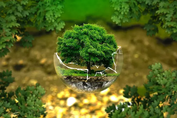 Beneficios de implementar gestión ambiental