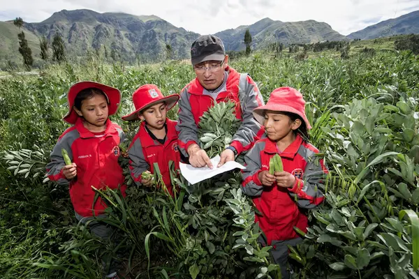 Cultura ambiental sostenible y educación ambiental
