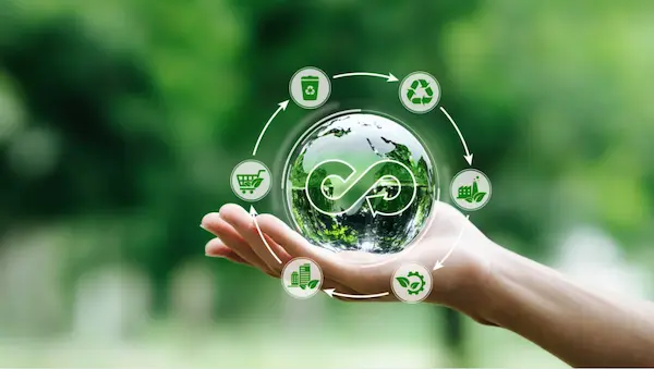 Economía circular y cultura ambiental sostenible