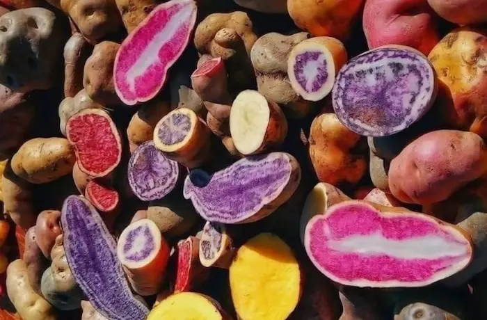 Estos son los mejores alimentos del Imperio incaico