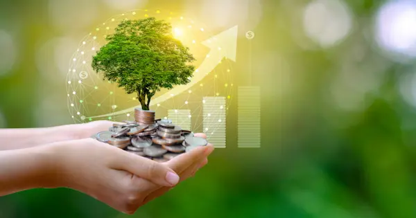 Importancia de la cultura ambiental sostenible en 2026