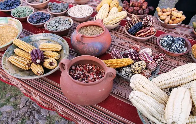 La base de la alimentación andina tradicional