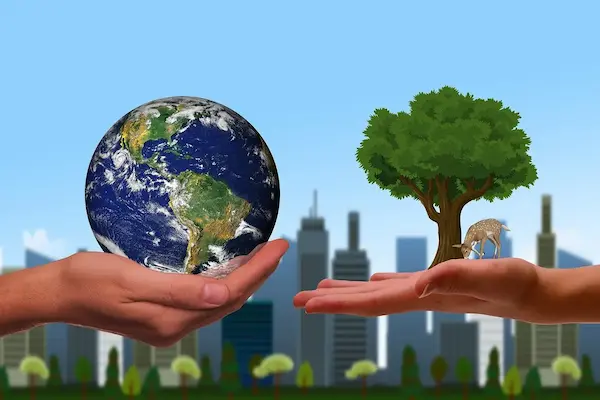 ¿Qué es la cultura ambiental sostenible?