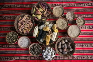 alimentos del Imperio incaico