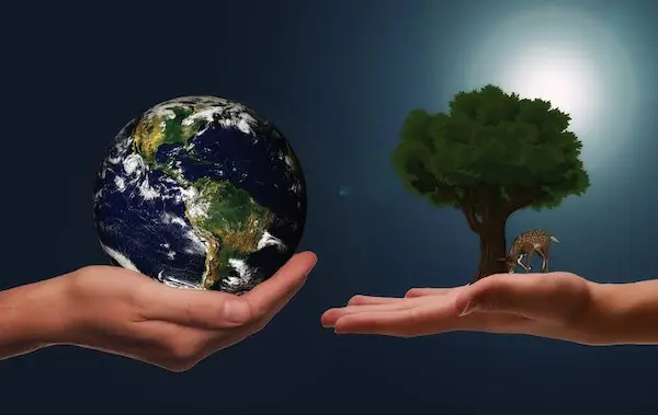Beneficios del reciclaje para el medio ambiente y la sociedad