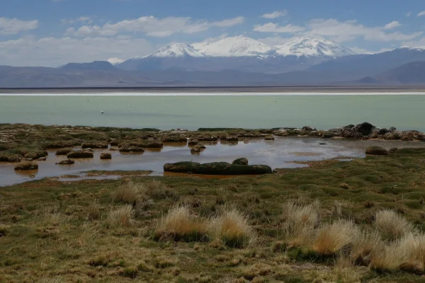 Laguna Santa Rosa en la cordillera de Atacama, territorio del pueblo colla